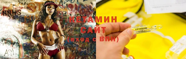 прущие грибы Заполярный