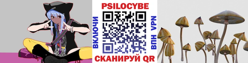 Псилоцибиновые грибы Psilocybine cubensis  закладка  Новосиль 