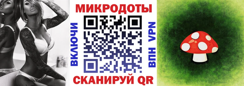 Псилоцибиновые грибы Cubensis Новосиль