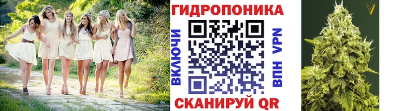 KRAKEN сайт  где можно купить наркотик  Новосиль  МАРИХУАНА THC 21% 